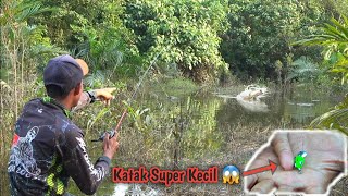 TANTANGAN  Mancing Pakai Katak Yang Sangat Kecil 😱 [upl. by Eanad]