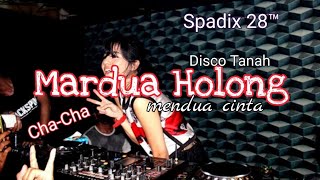 Mardua Holong Remix  Spadix 28™ ChaCha Disco Tanah [upl. by Rustice475]