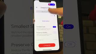 Reduce file size of a PDF with PDF Translate Pro [upl. by Mini]
