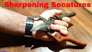 Sharpening Secateurs [upl. by Sherill]