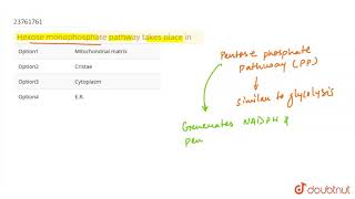 Hexose monophosphate pathway takes place in [upl. by Tager]