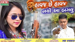 Havaj Chhe Havaj Nathi Aa Baglu  Shital Thakor  HD Video  Ekta Sound [upl. by Trinatte]