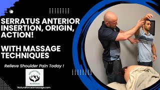 Mastering the Serratus Anterior Insertion Origin and Action for Massage Therapists [upl. by Janaye]