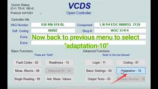 VAG VW EGR Delete by VCDS Adaptation [upl. by Whitnell395]