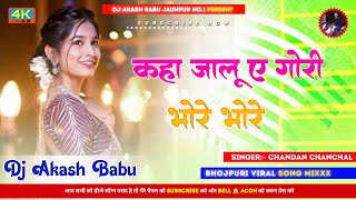 Kaha jalu a gori bhore bhore  Hard Bass Vibration Mix  Dj Akash Babu Jaunpur no1 2024 [upl. by Gurango]