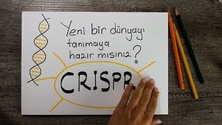 Crispr nedir Türkçe En etkili kanser tedavilerinden biri olmaya çalışan CRISPRCAS9 [upl. by Chu]