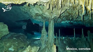 Diving Mexicos Cenotes [upl. by Ayekram]