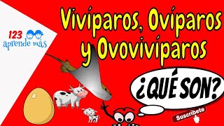 Animales VIVÍPAROS OVÍPAROS Y OVOVIVÍPAROS para niños de primaria [upl. by Hyrup714]