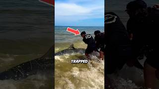 Saving a Trapped Shark Heartwarming Rescue [upl. by Asiuqram]