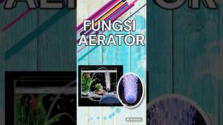 FUNGSI AREATOR DI AKUARIUM aerator [upl. by Bruis]