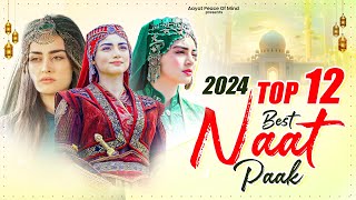 Naat Sharif  2024 Naat Sharif  New Naat Sharif  Beautiful Naat Sharif 2024  Heart Touching Naat [upl. by Alrick]