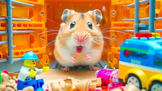 🐹Hamster Escapes from Colorful Ball Maze through Narrow Tube 🌈 Hamster Maze [upl. by Persian]