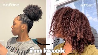 I dyed my natural curly hair at home  from black to brown  NO BLEACH ft Textures amp Tones [upl. by Arst]