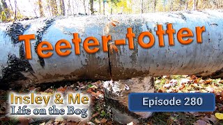 Life on the Bog • Ep 280  Teetertotter [upl. by Razid343]