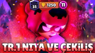 RASTGELE KARAKTERLERLE 24 SAAT KUPA KASTIM  Brawl Stars SnezzY [upl. by Anitrebla]