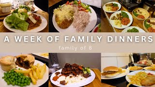 WEEK 69 FAMILY DINNERS OF THE WEEK  family of eight evening meal ideas meal plan🍝🥙 [upl. by Mat]