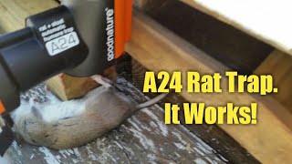 A24 Rat Trap from GoodNature Review [upl. by Rebecka]