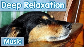 15 Hours of Deep Relaxation Music for Dogs Music to Relax Your Dog Completely and Help with Sleep [upl. by Annehs]