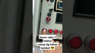 kocor 1 hektar cukup tekan tombol pertanian petani pertaniancabe cabe cabai chili [upl. by Billi]