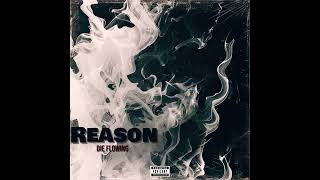 Reason Official Audio [upl. by Halas752]