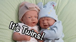 It’s Twins Realistic Rebornlike Berenguer Doll Surgery Name Reveal Haul [upl. by Cas]