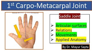 First carpometacarpal joint [upl. by Mellie]