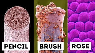 Everyday Objects Under An Electron Microscope [upl. by Ingles]