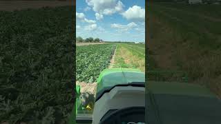 agriculture god farmer tractor farm reels youtubeshorts [upl. by Grubb]