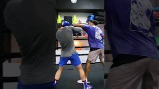 BOXING SPARRING WARS  boxe boxeanglaise sparring [upl. by Gladdie]