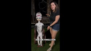 Our New Animatronic Dr Finkelstein [upl. by Ellinej]