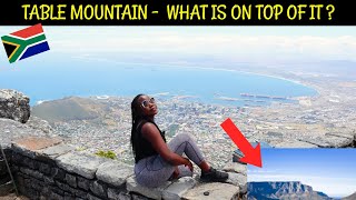 Whats Unique about Table Mountain [upl. by Anne-Corinne]