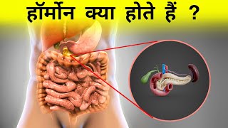 हॉर्मोन क्या होता हैं  types of hormones [upl. by Denie]