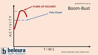 BoomBust Cycles in Pain aka Persistence Coping [upl. by Dlnaod]