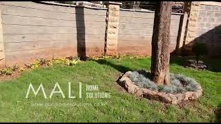 Tifsport Bermuda Grass South Africa Bermuda grass  MALI HOME SOLUTIONS [upl. by Yllatan]