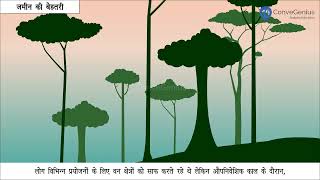 वन्य समाज और उपनिवेशवाद  Forest societies and colonialism  Class 9  History [upl. by Norvall958]