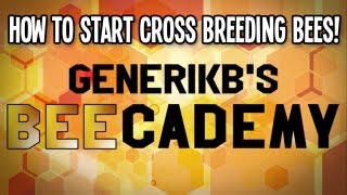 Generikbs BEEcademy Bee Tutorial 03  quotHow To Start Cross Breeding Beesquot [upl. by Razid]