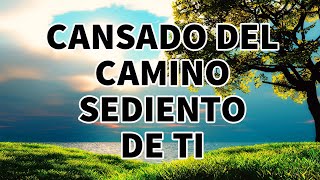 CANSADO DEL CAMINO SEDIENTO DE TI  ADORACIONES Y ALABANZAS PODEROSAS PARA ORAR  ALABANZAS 2023 [upl. by Presley]