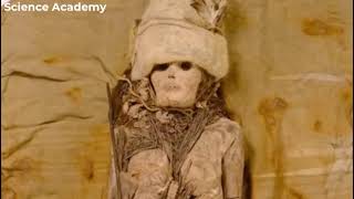 Why Were Ancient Mummies Covered in the World’s Oldest Cheese [upl. by Uamak]