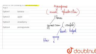 Which of the following is a parthenocarpic fruit [upl. by Chevalier542]