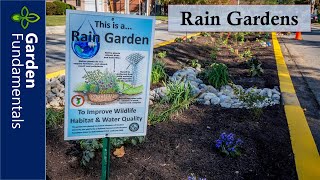 Rain Garden Introduction ☔️🌊❄️ What are they and Why do you need one [upl. by Ijok409]