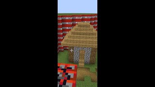 Minecraft  TNT Village [upl. by Haeluj]