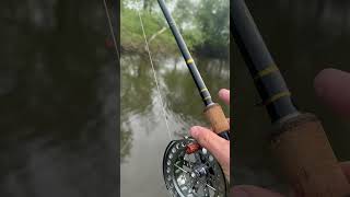 On the glide korum korumfishing korumglide meatfishing stickfloatfishing centerpinreel [upl. by Bick514]