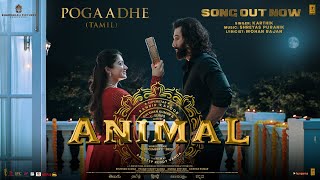 ANIMAL Tamil Pogaadhe Song  Ranbir KapoorRashmika M  KarthikShreyas PMohan R Sandeep Reddy V [upl. by Anaidiriv269]