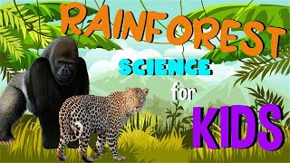 What is a Rainforest  Science for Kids [upl. by Nafis]