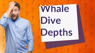 How deep do whales dive [upl. by Ahsiuqel]