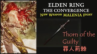 Thorn of the Guilty Richer Thorns Build  Elden Ring Convergence [upl. by Alema161]