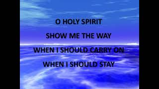 Danie Botha  Holy Trinity   LYRICS [upl. by Myk50]