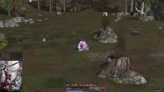 Lineage 2  Bladedancer VS Silver Ranger  Elmorelab Teon x1 C4 [upl. by Peper606]