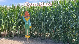 Tanaka Farm  Corn Maze [upl. by Yessydo744]