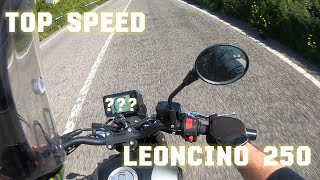 Leoncino 250Top Speed [upl. by Willa912]